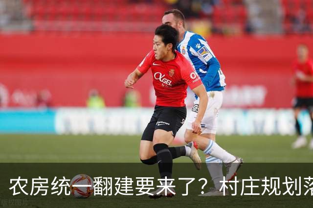 农房统一翻建要来了？村庄规划落地，这些地方下半年优先动工