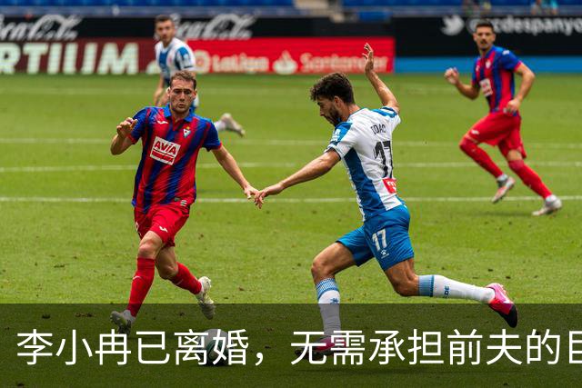 李小冉已离婚，无需承担前夫的巨额债务，法律边界清晰，提前布局守住了自身权益