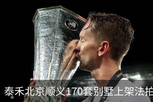 泰禾北京顺义170套别墅上架法拍 起拍价10.90亿元
