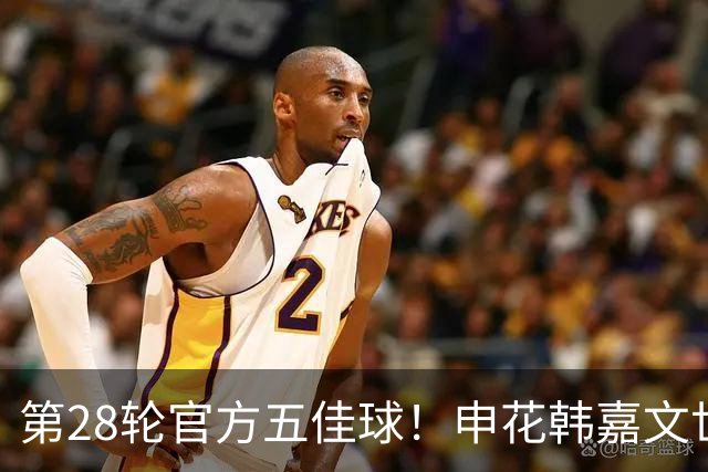 第28轮官方五佳球！申花韩嘉文世界波第3 海港莱昂纳多吊射是第一