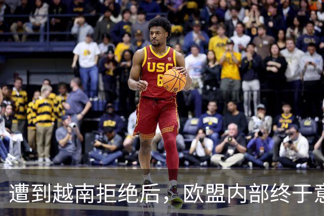 遭到越南拒绝后，欧盟内部终于意识到：什么叫 “中国力量”！