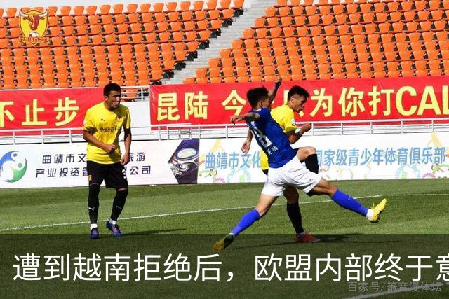遭到越南拒绝后，欧盟内部终于意识到：什么叫 “中国力量”！